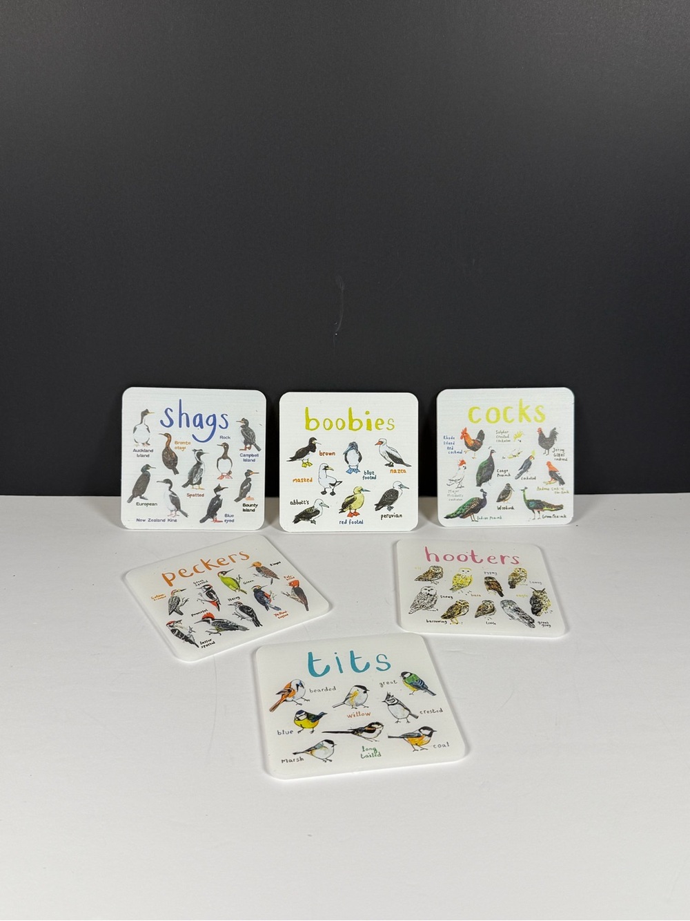 🐦 Funny Bird Pun Ceramic Coasters Set of 6 Novelty Gag Gift